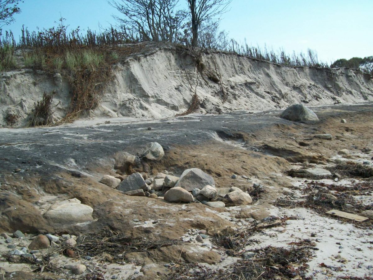 Dune loss at Harkness Beach. Photo: Micheal P. Grzywinski, CT DEEP