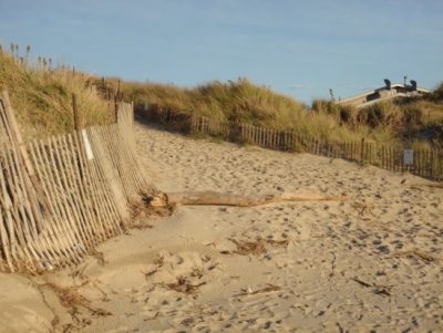 Protecting Dunes | Connecticut Beaches and Dunes: A Hazard Guide for ...